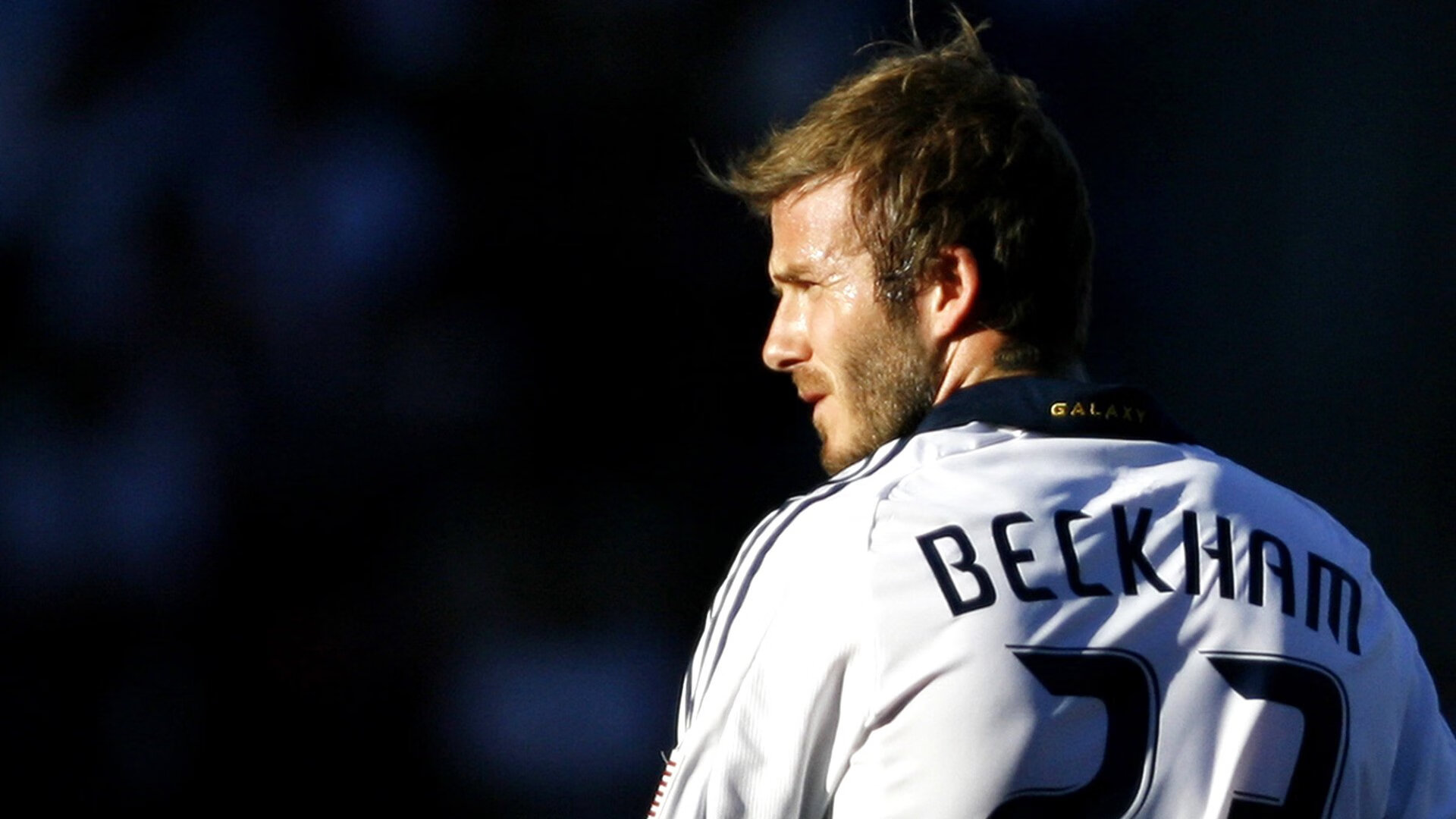 体育新闻中心独家专栏上线,体育新闻f1